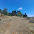  Land for sale in Chile, Vina Del Mar, Valparaiso, Valparaiso, Chile