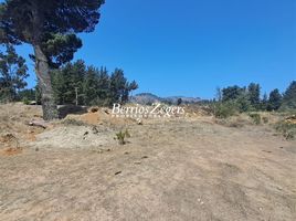  Land for sale in Chile, Vina Del Mar, Valparaiso, Valparaiso, Chile