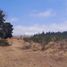  Land for sale in Chile, Vina Del Mar, Valparaiso, Valparaiso, Chile