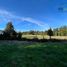  Land for sale in Chile, Puerto Montt, Llanquihue, Los Lagos, Chile