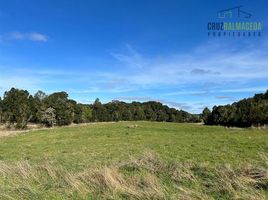  Land for sale in Chile, Puerto Montt, Llanquihue, Los Lagos, Chile