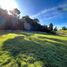  Land for sale in Chile, Puerto Montt, Llanquihue, Los Lagos, Chile