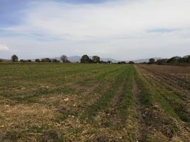  Terreno (Parcela) en venta en Comonfort, Guanajuato, Comonfort