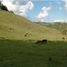 Terrain à vendre à Rionegro, Antioquia, Rionegro, Antioquia
