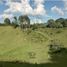Terrain à vendre à Rionegro, Antioquia, Rionegro, Antioquia