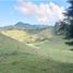 Terrain à vendre à Rionegro, Antioquia, Rionegro, Antioquia