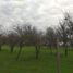  Terreno (Parcela) en venta en Maule, Pelarco, Talca, Maule