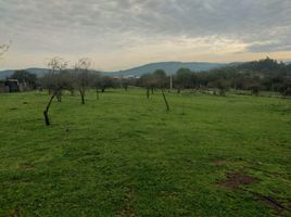  Terreno (Parcela) en venta en Maule, Pelarco, Talca, Maule