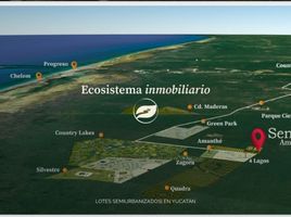  Land for sale in Hunucma, Yucatan, Hunucma