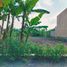  Terreno (Parcela) en venta en Ngaglik, Yogyakarta, Ngaglik