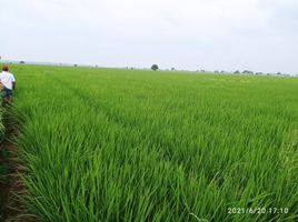  Land for sale in Pebayuran, Bekasi, Pebayuran