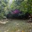  Terreno (Parcela) en venta en Huitzilac, Morelos, Huitzilac