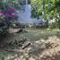 Terreno (Parcela) en venta en Huitzilac, Morelos, Huitzilac