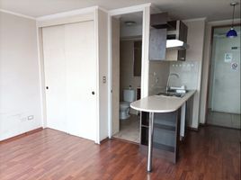 1 Habitación Apartamento en venta en Cordillera, Santiago, Puente Alto, Cordillera