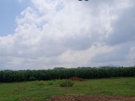  Land for sale in Jember, East Jawa, Jenggawah, Jember