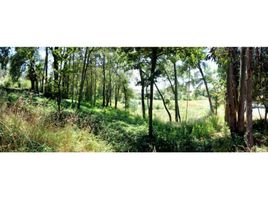  Terreno (Parcela) en venta en Biobío, Los Angeles, Biobío, Biobío