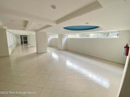 3 Habitación Apartamento en alquiler en Miguel Hidalgo, Ciudad de México, Miguel Hidalgo