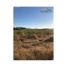  Land for rent in Culiacan, Sinaloa, Culiacan