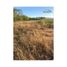  Land for rent in Culiacan, Sinaloa, Culiacan