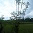  Terreno (Parcela) en venta en Bulacan, Central Luzon, Bulacan, Bulacan, Central Luzon