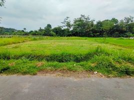  Land for sale in Mlati, Sleman, Mlati