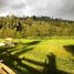  Grundstück zu verkaufen in Cayambe, Pichincha, Cayambe, Cayambe