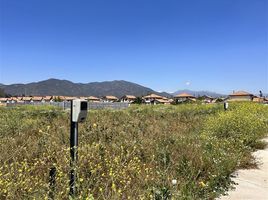  Land for sale in Chile, Machali, Cachapoal, Libertador General Bernardo Ohiggins, Chile
