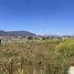  Land for sale in Chile, Machali, Cachapoal, Libertador General Bernardo Ohiggins, Chile