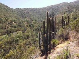  Terreno (Parcela) en venta en Melipilla, Santiago, Curacavi, Melipilla