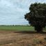  Terreno (Parcela) en venta en México, Almoloya De Juarez, México