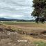  Terreno (Parcela) en venta en México, Almoloya De Juarez, México