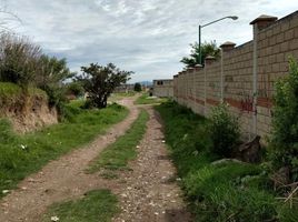  Terreno (Parcela) en venta en México, Almoloya De Juarez, México