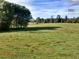  Land for sale in Chile, Los Muermos, Llanquihue, Los Lagos, Chile
