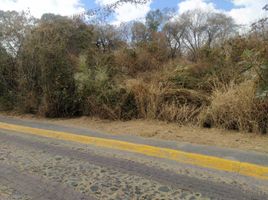 Terrain à vendre à Zapopan, Jalisco, Zapopan, Jalisco
