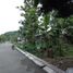  Terreno (Parcela) en venta en Piyungan, Yogyakarta, Piyungan