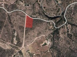  Land for sale in Calvillo, Aguascalientes, Calvillo