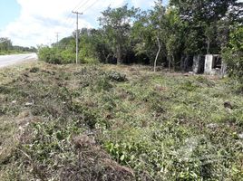  Terrain for rent in Cancun, Quintana Roo, Cancun