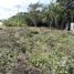  Land for rent in Cancun, Quintana Roo, Cancun