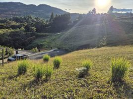  Grundstück zu verkaufen in Rionegro, Antioquia, Rionegro, Antioquia, Kolumbien