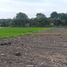  Land for sale in Jagonalan, Klaten, Jagonalan