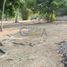  Land for sale in Isla, Veracruz, Isla