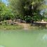  Land for sale in Isla, Veracruz, Isla