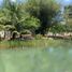  Land for sale in Isla, Veracruz, Isla