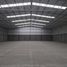 10,333 Sqft Office for rent in Coahuila, Matamoros, Coahuila
