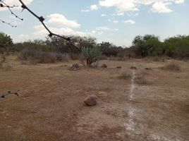  Grundstück zu verkaufen in Mexquitic De Carmona, San Luis Potosi, Mexquitic De Carmona