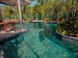 2 Schlafzimmer Appartement zu vermieten in Cozumel, Quintana Roo, Cozumel