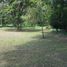  Land for sale in Atzacan, Veracruz, Atzacan