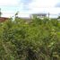  Land for sale in Atzacan, Veracruz, Atzacan