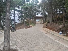  Terreno (Parcela) en venta en Chamula, Chiapas, Chamula