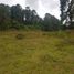 在墨西哥出售的 别墅, Coatepec Harinas, Mexico, 墨西哥